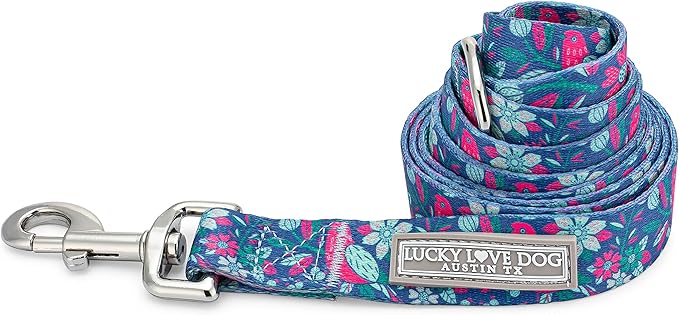 Lucky Love Dog Leash – Soft, Durable, and Comfortable Leash with Vibrant Patterns – Stylish and Long Lasting for Small Male and Female Dogs – Carriebelle, Small