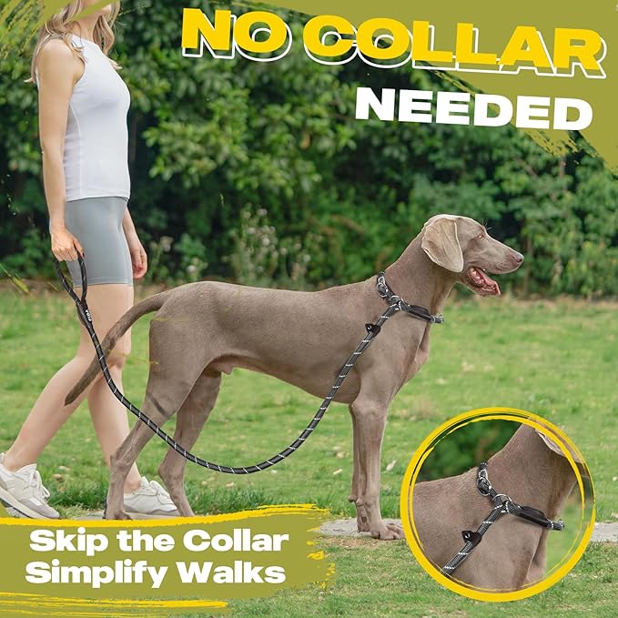 Fida Durable Slip Lead Dog Leash, 6 FT x 3/8" Heavy Duty Comfortable Strong Rope Slip Lead for Small Dogs and Puppies, No Pull Pet Training Lead with Highly Reflective(3/8", Black)