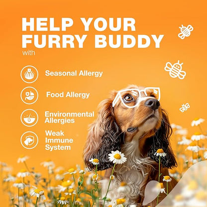Dog Allergy Relief Chews - Itch Relief for Dogs - Allergy Chews for Itching Skin with Hemp Seed Oil, Turmeric, Quercetin - Immune Health Support Treats - Hot Spots - Skin and Coat Health