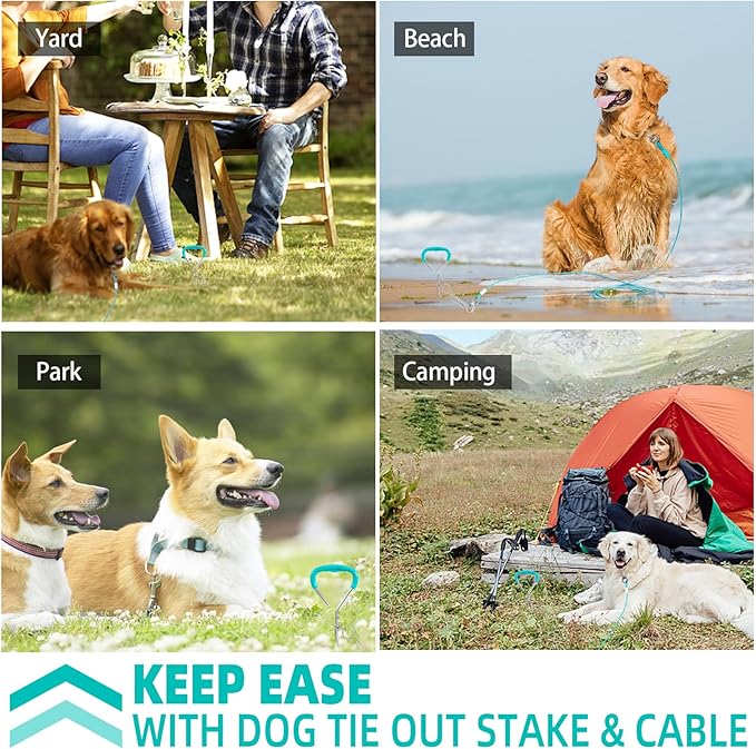 Snagle Paw Dog Tie Out Stake and Run Cable, 20FT Long Lead with Yard Stake, Chains for Outside, Leash Camping & Beach, Tether Medium Large Dogs, Ice Blue