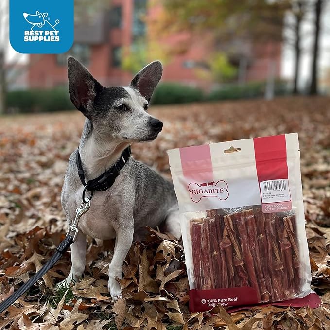 GigaBite Single Ingredient All Natural Free Range Bully Treats and Chews - Bully Sticks/Bladder Sticks/Beef Esophagus by Best Pet Supplies - Bladder Sticks (6 Inch), Pack of 25
