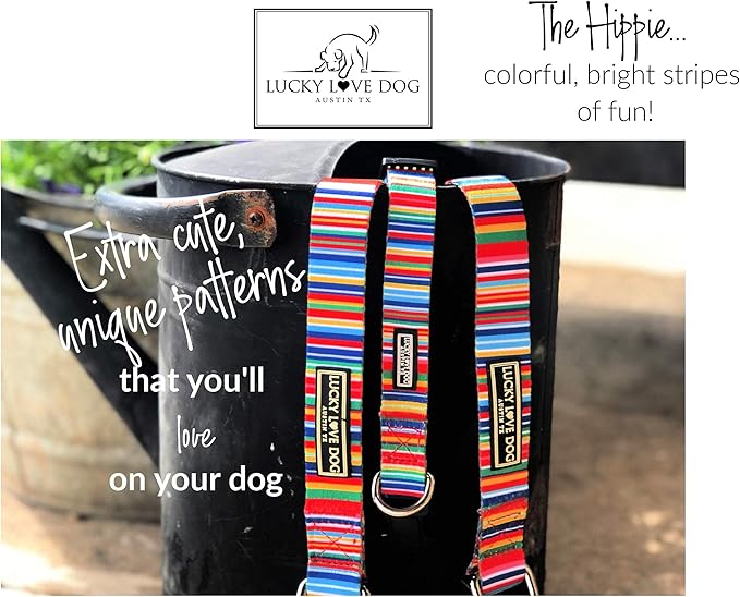 Lucky Love Dog - Easy Click Buckle Dog Collar with Leash Set Combo, Durable & Comfortable for Male & Female Dogs, Pet Collar for Large Dogs, Secure Fit - Hippie Combo, Large