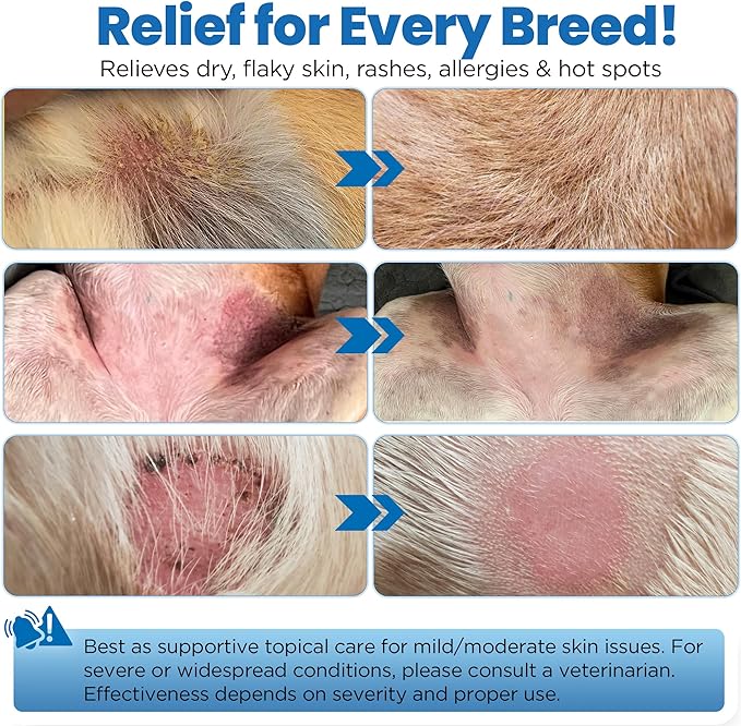 Wrinkle Balm for Dog Wrinkles 3 Oz Includes Applicator, Dog Lotion for Dry Itchy Skin Relief, Yeast Infection Treatment, Protects from Cracks & Wounds