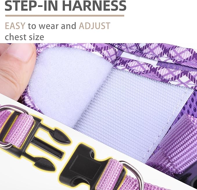 PUPTECK Dog Harness and Leash Set for Small Medium Dogs No Pull Step-in Soft Mesh Puppy Cat Vest Harnesses Reflective at Night, Upgraded New Purple S