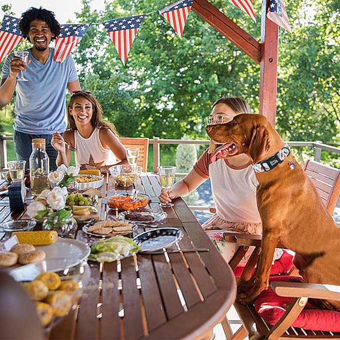 Independence Dog Collar-USA Flag Popsicle Print Pet Collar Adjustable Cute Soft Collars Holiday Comfortable Cotton Puppy Collar Gift for Large Dogs