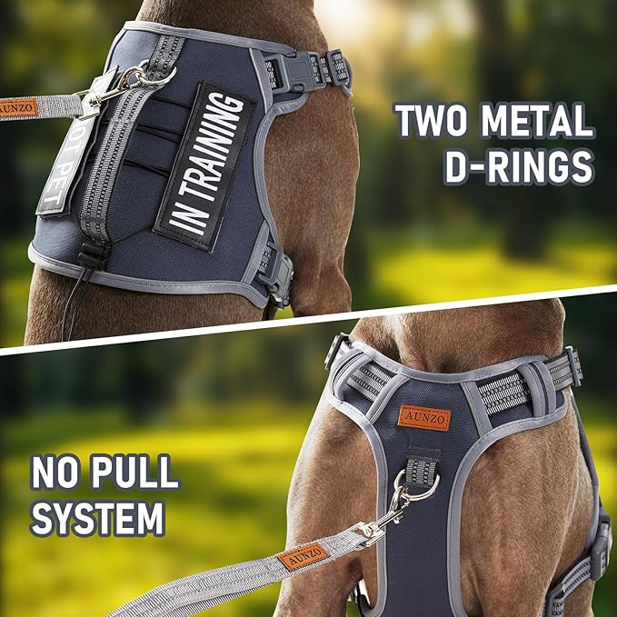 No-Pull Dog Harness for Small Dog Breeds, Anti-Escape Easy Walking Reflective Adjustable Lightweight Dog Vest with Breathable Oxford Material, Easy on Easy Off with Neck Buckle, Gray XS