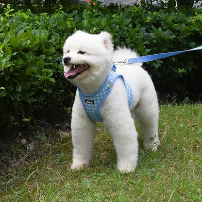 AIITLE No-Pull Pet Harness with a Leash, Plaid Comfort Padded Vest, Step in Dog Harness, Reflective Bands, Soft Breathable Pet Supplies, for Small and Medium Dogs and Cats Blue S