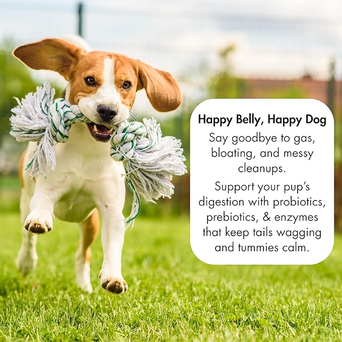 Probiotics for Dogs with Digestive Enzymes - 2.4 Billion CFU Dog Probiotic Supplements for Upset Stomach, Digestive Health, Diarrhea Relief - 60 Chicken Flavor Chews