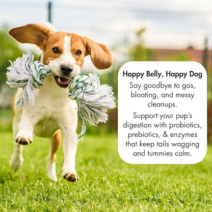 Probiotics for Dogs with Digestive Enzymes - 2.4 Billion CFU Dog Probiotic Supplements for Upset Stomach, Digestive Health, Diarrhea Relief - 60 Chicken Flavor Chews