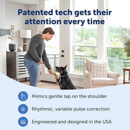 PetSafe Basic Dog Trainer with Remote - Effective Dog Training - 15 Levels of Static Correction - Waterproof Collar - Rechargeable Training Collar - Compact Remote Transmitter