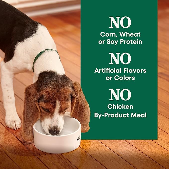 Nutro Natural Choice Large Breed Puppy Food Dry, Chicken & Brown Rice Recipe, 30 lb. Bag