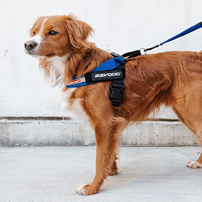 EzyDog Express Dog Harness - Adjustable Dog Harness for Large, Medium, and Small Dogs with Padded Ergonomic Anti-Chafing Design, Grip Handle, & Easy Side Buckle (Gray, XL)