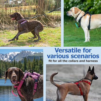 Dog Safety Collar Clip – Waterproof Backup Connector with Dual Hooks for Harness and Collar | Leash Safety Attachment for Training & Walking (Blue, 9 inch)