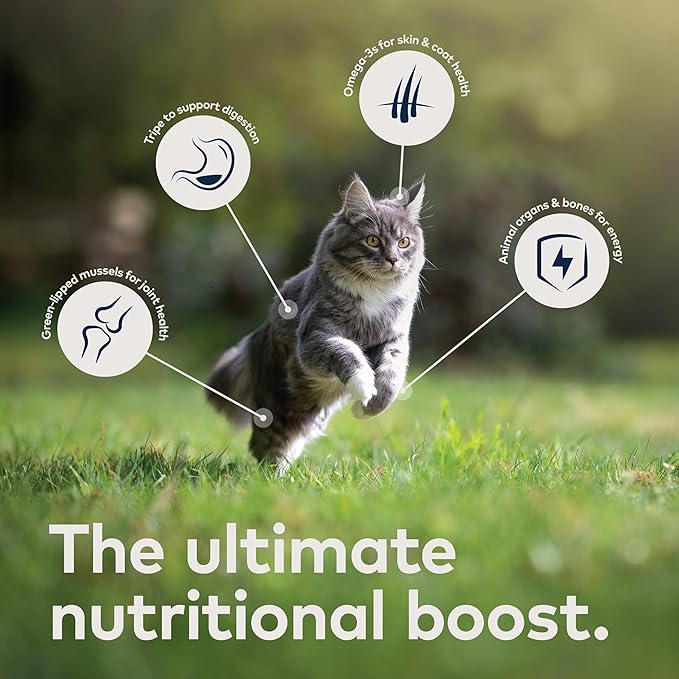 ZIWI Peak Wet Cat Food – All Natural, High Protein, Grain Free, Limited Ingredient, with Superfoods (Mackerel, Case of 12, 6.5oz Cans)
