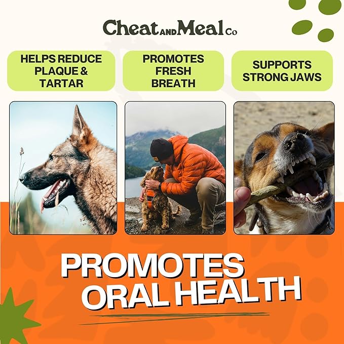 Bully Sticks for Dogs, (6 Inch, 5 Count), Dog Chew Toy for Aggresive Chewer, Long-Lasting, 100% Grass-Fed Beef Pizzle - Ideal for Medium and Large Dogs - Rawhide-Free