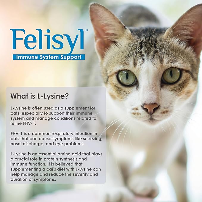 Felisyl L-Lysine Gel for Cats & Kittens (5oz) – Immune System, Respiratory & Eye Health Support. Reduces Sneezing, Runny Nose & Watery Eyes. Daily Salmon-Flavor Supplement – Made in USA
