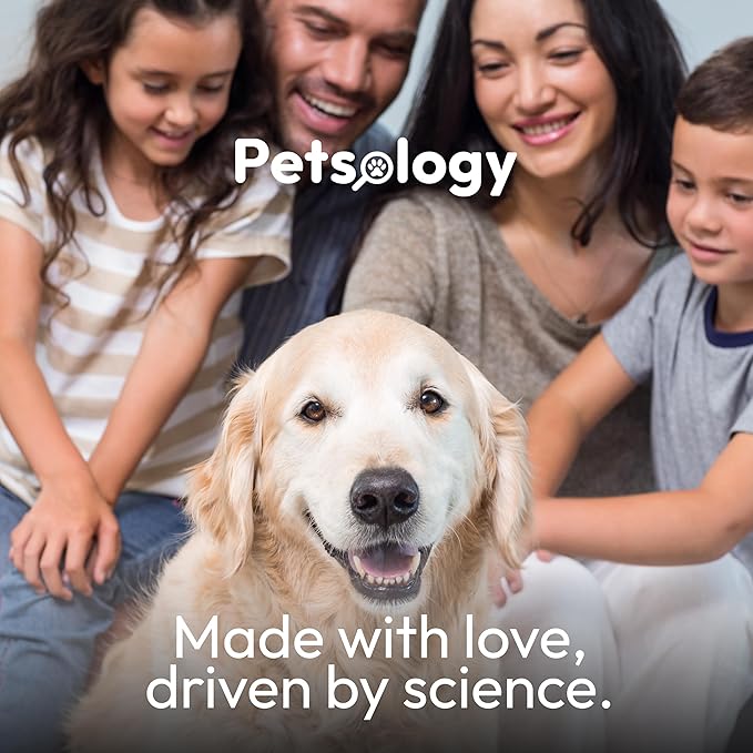 Dog Allergy Relief Chews - 170 Dog Allergy Chews - Itch Relief for Dogs - Omega 3 Fish Oil, Probiotics For Itchy Skin & Hot Spots Allergies, Paw Licking, Dry Skin & Coat Supplement - Beef Liver Flavor