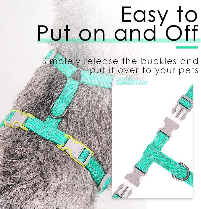 ThinkPet Reflective Breathable Soft Air Mesh No Pull Puppy Choke Free Over Head Vest Harness for Puppy Small Medium Dogs and Cats Teal Large