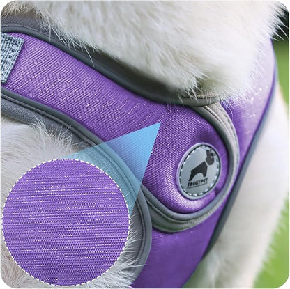 Dog Harness with Leash Set, No Pull Adjustable Step in Collars Harness with Breathable Padded Vest for Small Dogs Training and Running (S, Purple)