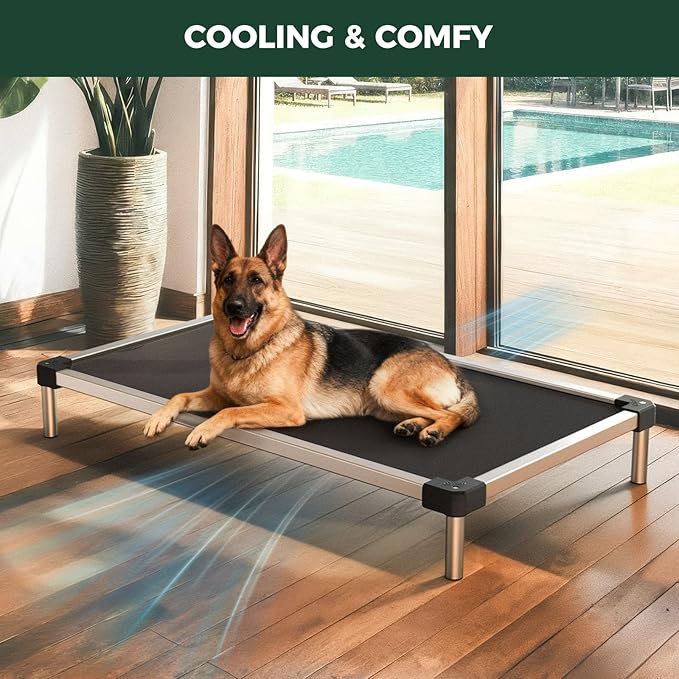 FXW TitanNest Chew-Proof Elevated Dog Bed, Raised Cot for Indoor/Outdoor/Camping Use, Durable & Waterproof Cooling Pet Bed for Large Dogs, 50.0" L x 31.0" W x 7.3" H, Black
