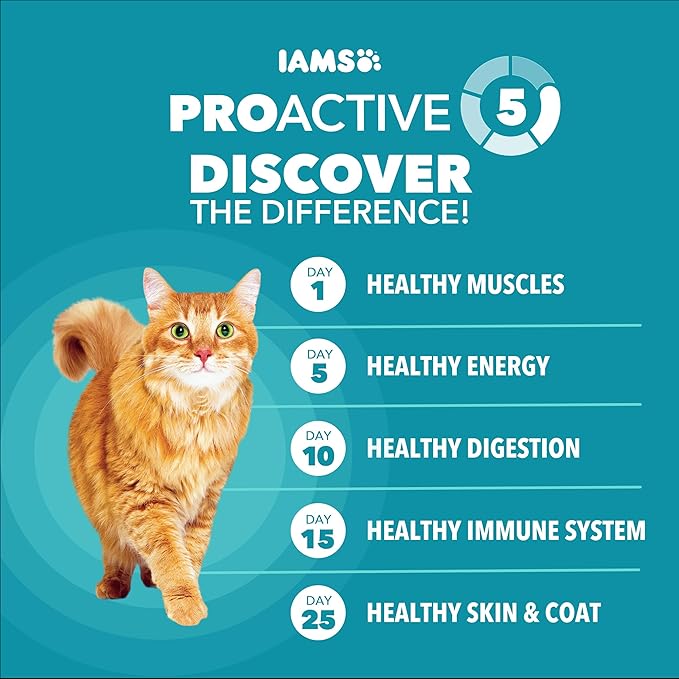 IAMS Proactive Health Indoor Weight & Hairball Care Adult Dry Cat Food with Salmon, 22 lb. Bag