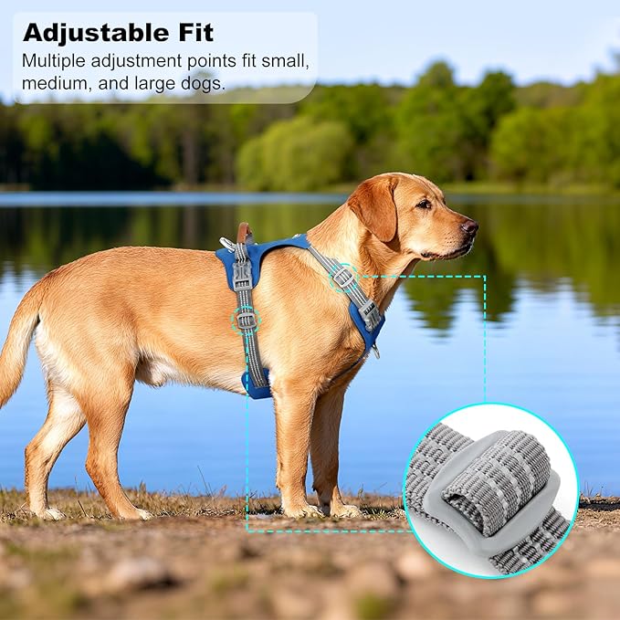 ApakBak No Pull Dog Harness – Adjustable Reflective Nylon Vest for Small Medium Large Dogs, Escape Proof Training Harness with Leather Control Handle, Lightweight Aluminum Hardware (Royal Blue, L)