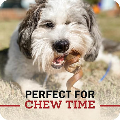 Redbarn Pet Products All-Natural 12" Braided Bully Sticks for Dogs - Premium Slow Roasted Long Lasting Chew Treats Made with 100% Beef - Single Ingredient Low Odor - 5 Count - Packaging May Vary