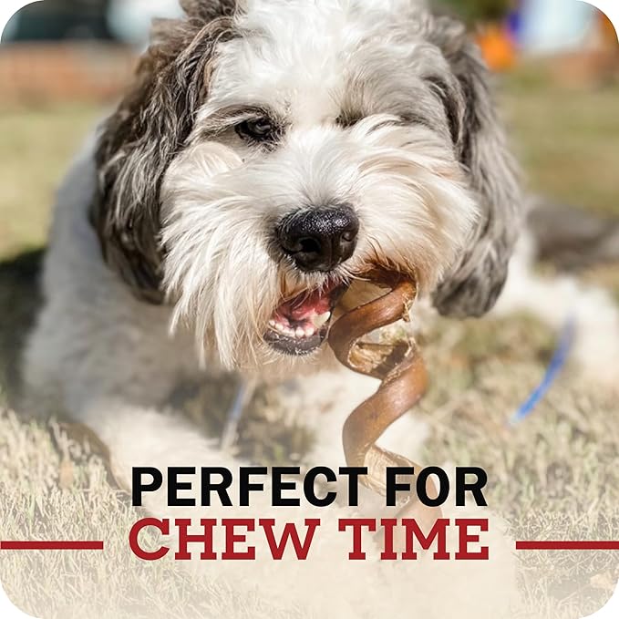 Redbarn Pet Products 12" Braided Bully Sticks for Dogs, Pack of 25
