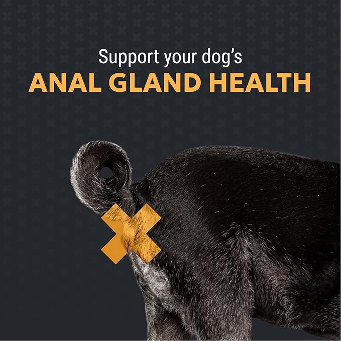 Nutramax Filaquin Anal Gland Supplement for Dogs, from The Same Company as Cosequin & Proviable, with Pre & Postbiotics and Psyllium Husk Fiber to Support Anal Gland Health, 90 Count Soft Chews