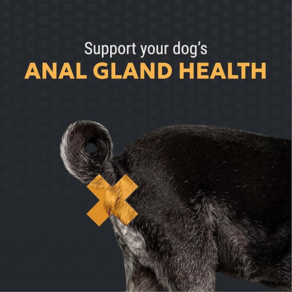 Nutramax Filaquin Anal Gland Supplement for Dogs, from The Same Company as Cosequin & Proviable, with Pre & Postbiotics and Psyllium Husk Fiber to Support Anal Gland Health, 90 Count Soft Chews