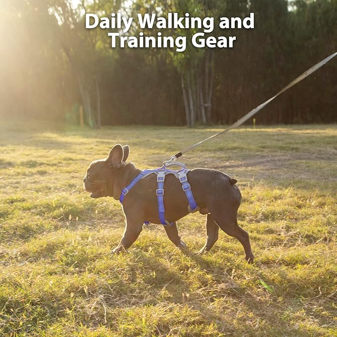 Huntboo Escape Proof Dog Harness, No Pull Reflective Harness with Lift Handle, Adjustable Pet Vest with Front and Back Leash Clips for Small Medium Large Dogs Walking Hiking Training (Vista Blue,XL)