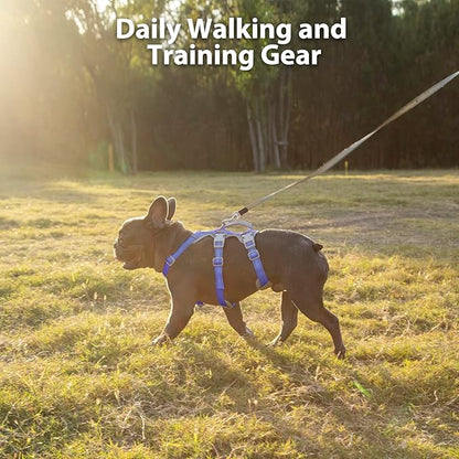 Huntboo Escape Proof Dog Harness, No Pull Reflective Harness with Lift Handle, Adjustable Pet Vest with Front and Back Leash Clips for Small Medium Large Dogs Walking Hiking Training (Vista Blue,XL)