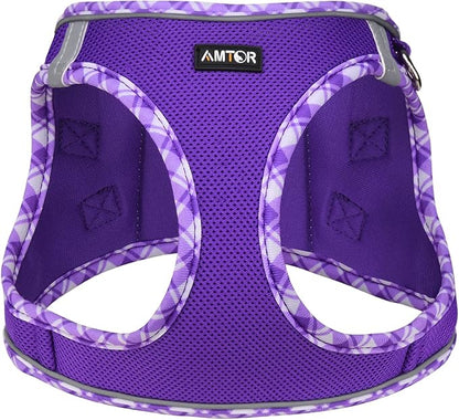 AMTOR Small Dog Harness with Leash Set, No Escape Easy Walk Puppy Harnesses for Training Walking, Step-in Reflective Soft Dogs Vest for XS S Medium Extra-Small Large Sized Dog(Purple,S)