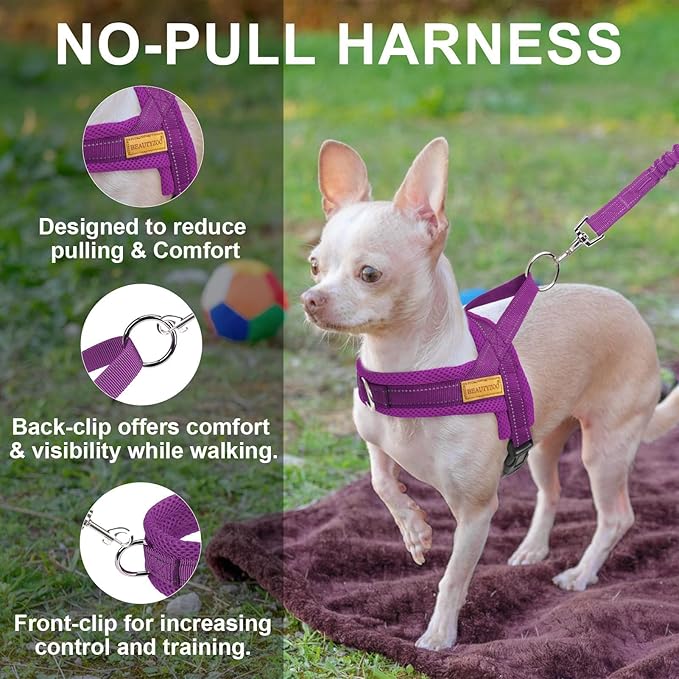 BEAUTYZOO No Pull Dog Harness Medium Sized Dog, Breathable Mesh Padded Dog Harness and Leash Set, Adjustable Reflective Escape Proof Dog Vest Harnessss Quick Fit for Training Walking, Purple M