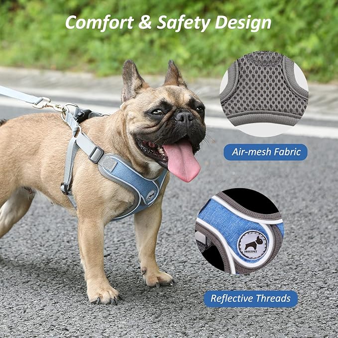 Dog Harness with Leash Set, Adjustable Step in Collars Harness with Breathable Padded Vest for Small Medium Large Dogs Training and Running(L, Blue)