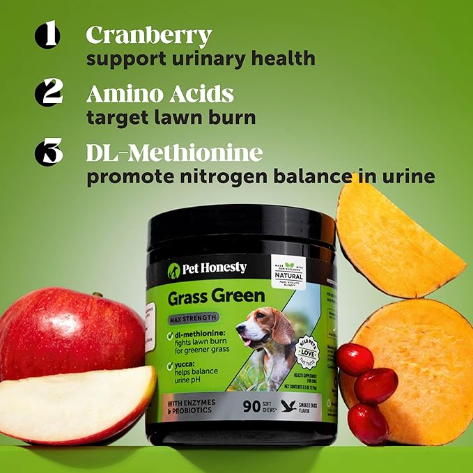 Grass Green Max Strength Chews for Dogs – Premium Dog Urine Lawn Spot Saver Supplement – Supports Healthy Digestion, Gut & Urinary Health with Probiotics, DL-Methionine & Yucca (90ct Duck Flavor)