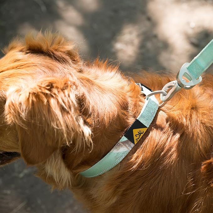 Browning Classic Preformance Webbing Pet Collar, Fully Adjustable, Available in Solid Colors and Camo Patterns, Realtree Xtra Seaglass, Medium
