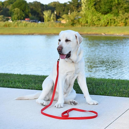Dogline Biothane Waterproof Dog Leash 2/4/6 Ft Strong Coated Nylon Webbing with Black Hardware Odor-Proof Easy to Clean High Performance for Small or Large Dogs Made in USA, Cherry Red
