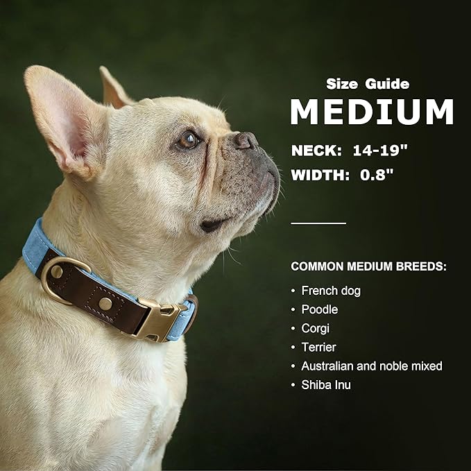 Didog Soft PU Leather Dog Collars for Medium Dogs,Classic Adjustable Dog Collars with Quick Release Metal Buckle,Easy Clean and Comfortable with Nylon Lining,Denim Blue,M Neck 14-19"