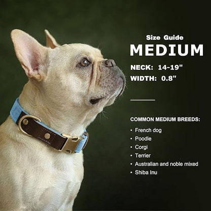 Didog Soft PU Leather Dog Collars for Medium Dogs,Classic Adjustable Dog Collars with Quick Release Metal Buckle,Easy Clean and Comfortable with Nylon Lining,Denim Blue,M Neck 14-19"