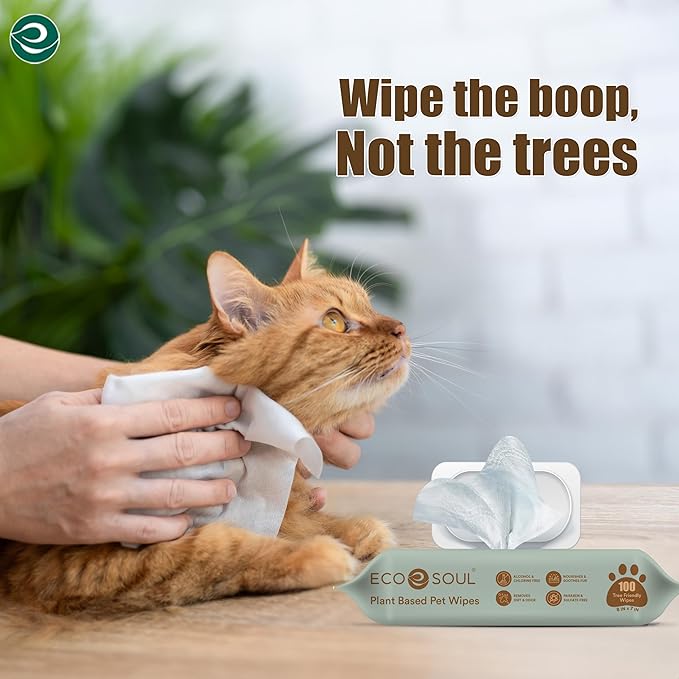 ECO SOUL Pet Wipes for Dogs & Cats, Unscented Large Cleaning Wipes with Aloe & Glycerin | Alcohol & Chlorine Free | Pack of 1 (100 Wipes) (Pack of 2)