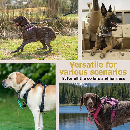 Dog Safety Collar Clip – Waterproof Backup Connector with Dual Hooks for Harness and Collar | Leash Safety Attachment for Training & Walking (Black, 9 inch)