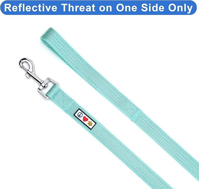 Pawtitas Teal Dog Leash 6 ft M/L Reflective Durable Lightweight Dog Lead for Medium or Large Dogs and Puppies