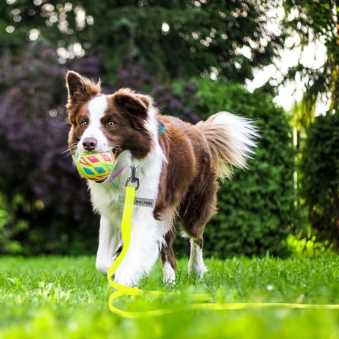 Wolfone 40ft Yellow Long Leash - Waterproof Training Dog Leash for Recall, Swimming, Camping, Beach, Hunting, Walking