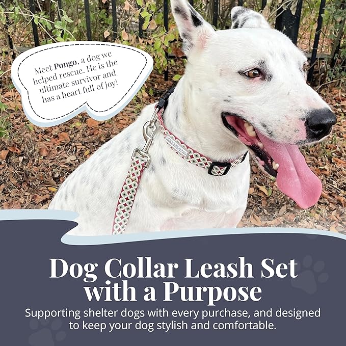 Lucky Love Dog - Easy Click Buckle Dog Collar with Leash Set Combo, Durable & Comfortable for Male & Female Dogs, Pet Collar for Medium Dogs, Secure Fit - Pongo Combo, Medium