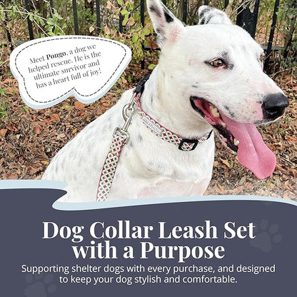 Lucky Love Dog - Easy Click Buckle Dog Collar with Leash Set Combo, Durable & Comfortable for Male & Female Dogs, Pet Collar for Small Dogs, Secure Fit - Pongo Combo, XS
