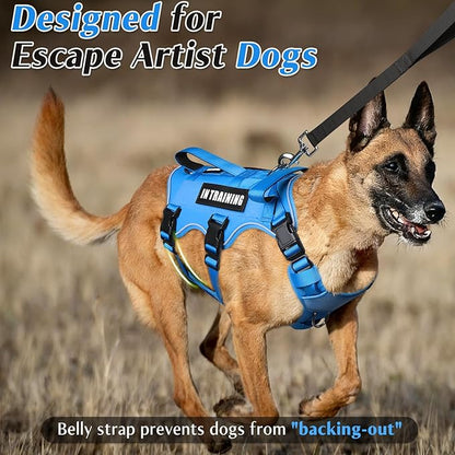 WINSEE Escape Proof Dog Harness, Service Working Molle Harness with Double Handle, Tactical Pet Vest with 4 Patches for Small Medium Large Dogs Walking Hiking Hunting