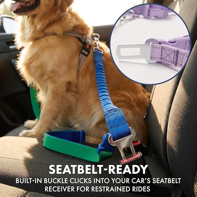 Spark Paws Handsfree Dog Leash – Shock Absorbing Waist Bungee Lead for Running, Car Seatbelt Clip & Poop Bag Set, Heavy Duty Tactical Lead for Medium, Large & X-Large Breeds - Lilac