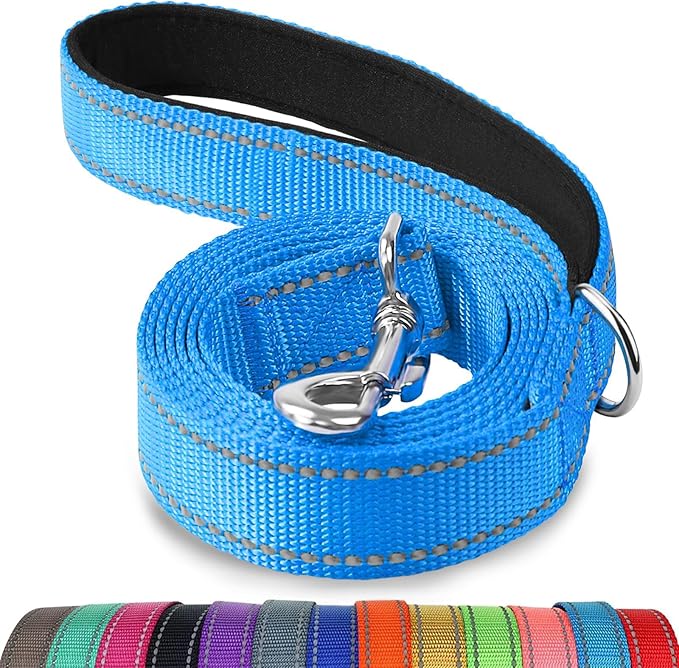 Joytale Double-Sided Reflective Dog Leash, 6 FT/5 FT/4 FT, Padded Handle Nylon Heavy Duty Leashes for Medium & Large Dogs Walking, Sky Blue, 5FT
