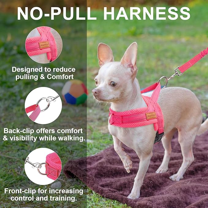 BEAUTYZOO Dog Harness for Small Dogs, No Pull Dog Harness and Leash Set, Soft Escape Proof Puppy Vest Harness with Handle, Reflective Lightweight Step in Harness for Girl Boy Dogs, Pink S